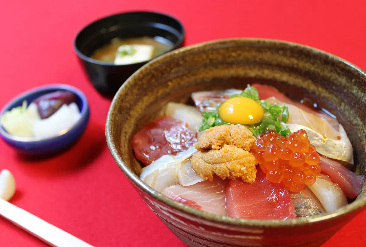 豆狸