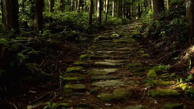 Stone-paved path of the Kumano Kodo