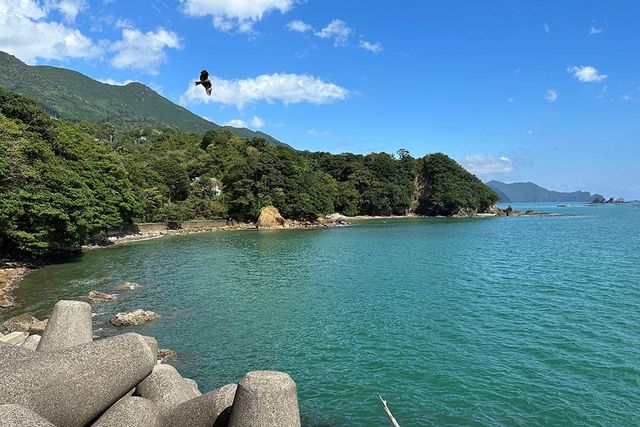 天満浦の海岸